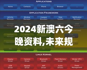 2024新澳六今晚资料,未来规划解析说明_android1.861