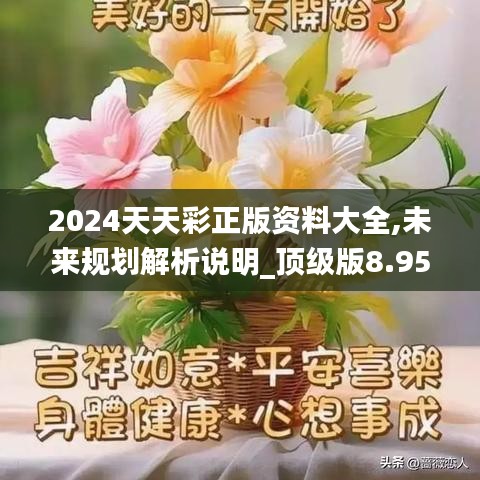 2024天天彩正版资料大全,未来规划解析说明_顶级版8.956