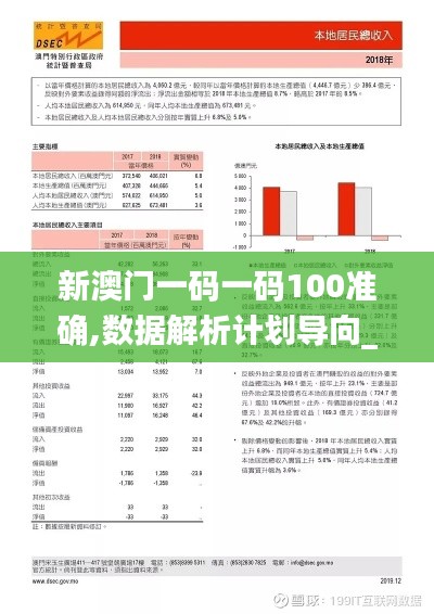 新澳门一码一码100准确,数据解析计划导向_精装版7.660