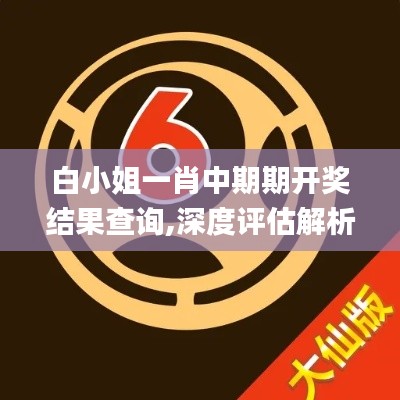 白小姐一肖中期期开奖结果查询,深度评估解析说明_V10.610