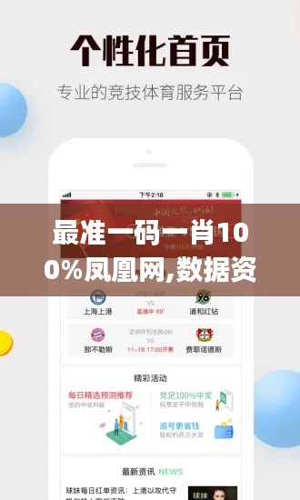 最准一码一肖100%凤凰网,数据资料解释落实_网页款7.569