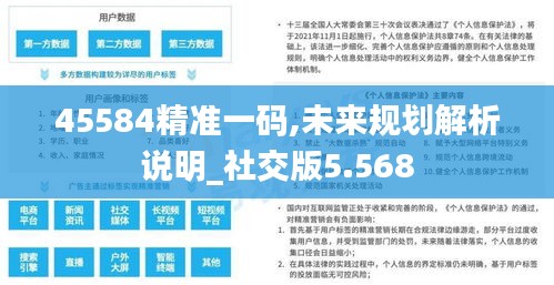 45584精准一码,未来规划解析说明_社交版5.568