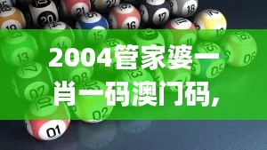 2004管家婆一肖一码澳门码,证据解答解释落实_Mixed2.214