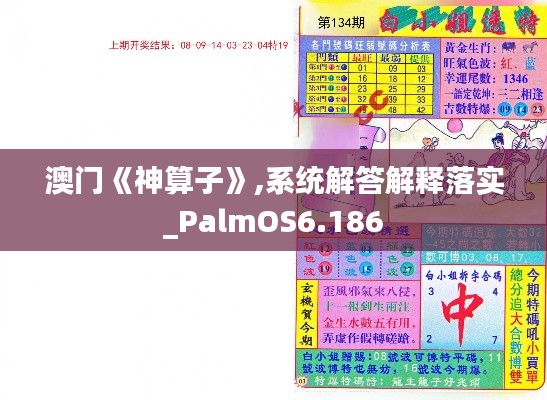 澳门《神算子》,系统解答解释落实_PalmOS6.186