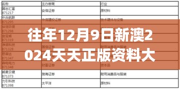 往年12月9日新澳2024天天正版资料大全,高效实施方法解析_XE版4.540