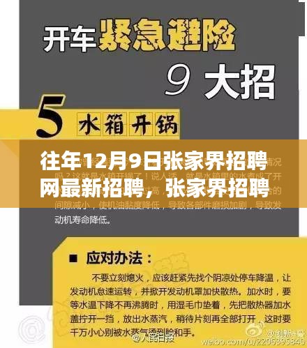 探寻人才与机遇交汇点，张家界招聘网历年12月9日最新招聘深度解析