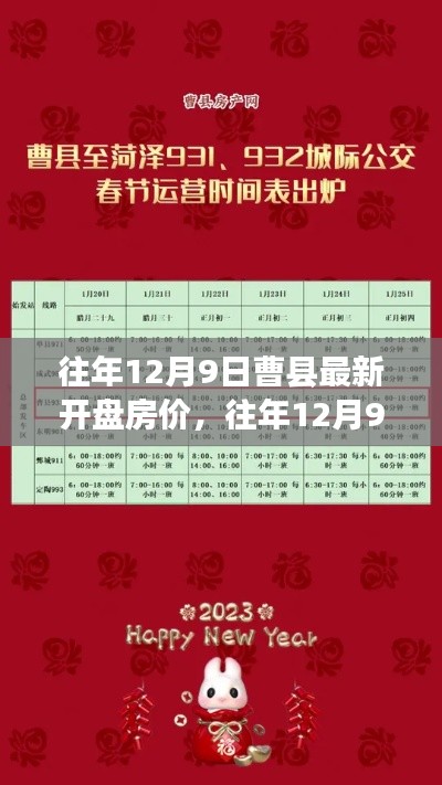 往年12月9日曹县最新开盘房价深度探析，观点与立场阐述