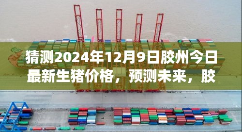 胶州最新生猪价格预测及分析，未来走势展望（2024年12月9日）