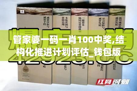 管家婆一码一肖100中奖,结构化推进计划评估_钱包版1.780