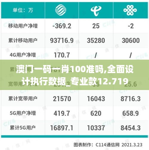 澳门一码一肖100准吗,全面设计执行数据_专业款12.719