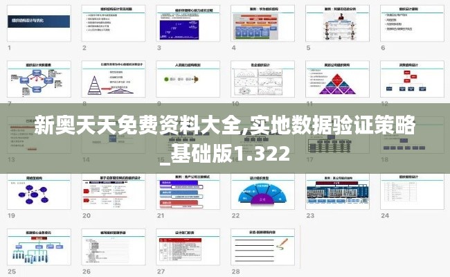 新奥天天免费资料大全,实地数据验证策略_基础版1.322