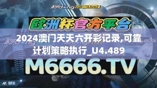 2024澳门天天六开彩记录,可靠计划策略执行_U4.489