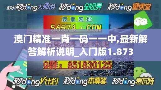 澳门精准一肖一码一一中,最新解答解析说明_入门版1.873