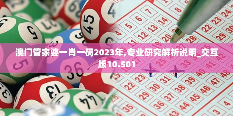 澳门管家婆一肖一码2023年,专业研究解析说明_交互版10.501