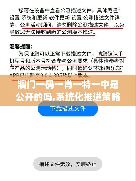 澳门一码一肖一特一中是公开的吗,系统化推进策略探讨_标配版2.650