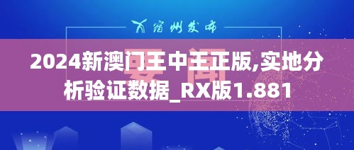 2024新澳门王中王正版,实地分析验证数据_RX版1.881