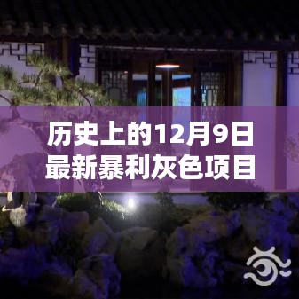 揭秘历史暴利项目，探秘十二月九日灰色商机传奇