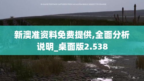 新澳准资料免费提供,全面分析说明_桌面版2.538