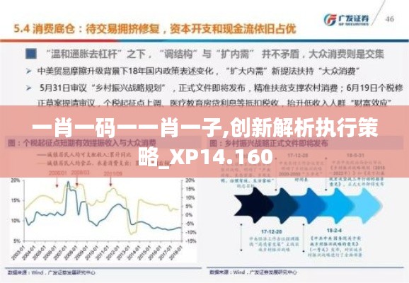 一肖一码一一肖一子,创新解析执行策略_XP14.160