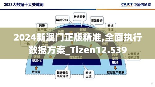 2024新澳门正版精准,全面执行数据方案_Tizen12.539