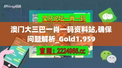 澳门大三巴一肖一码资料站,确保问题解析_Gold1.959