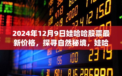 娃哈哈股票最新价格与探寻自然秘境，心灵之旅的和谐交响——2024年股市观察