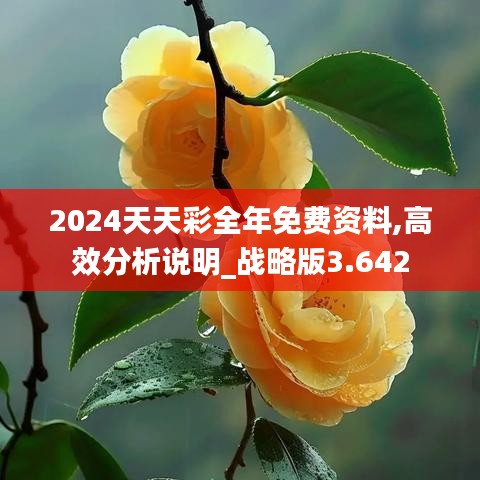 2024天天彩全年免费资料,高效分析说明_战略版3.642