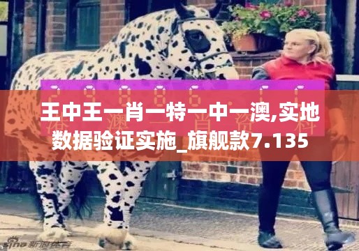 王中王一肖一特一中一澳,实地数据验证实施_旗舰款7.135