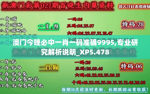 澳门今晚必中一肖一码准确9995,专业研究解析说明_XP5.478