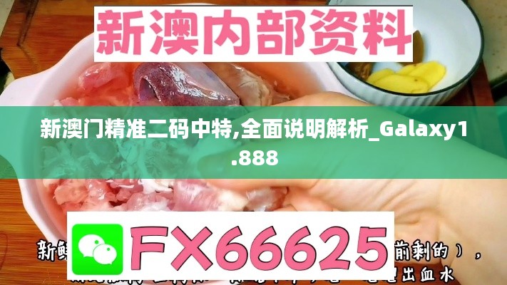 新澳门精准二码中特,全面说明解析_Galaxy1.888