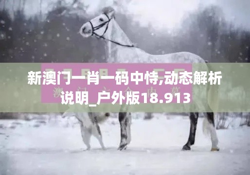 新澳门一肖一码中恃,动态解析说明_户外版18.913