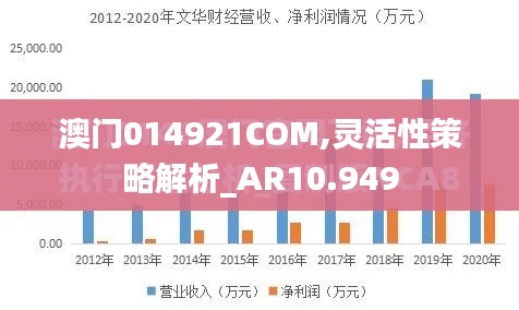 澳门014921COM,灵活性策略解析_AR10.949