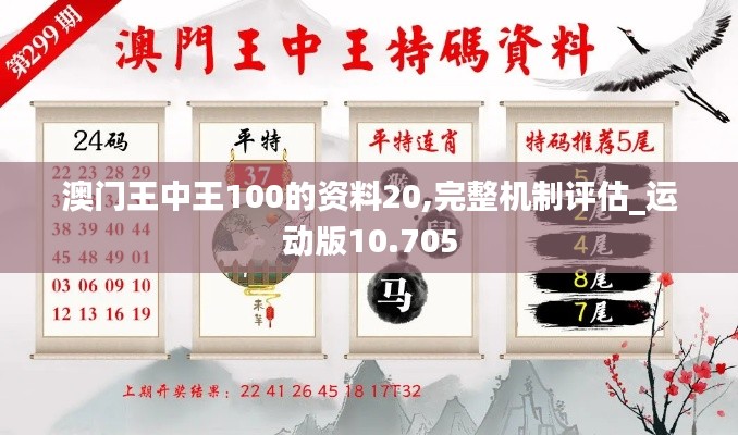 澳门王中王100的资料20,完整机制评估_运动版10.705