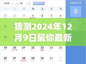 2024年12月9日鼠你应用全面评测，产品特性与用户体验深度剖析