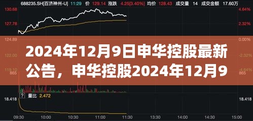 申华控股最新公告深度解读，2024年12月9日发布的关键信息