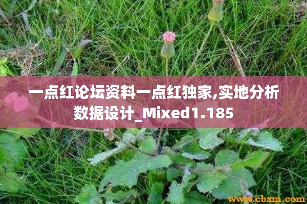 一点红论坛资料一点红独家,实地分析数据设计_Mixed1.185