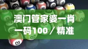 澳门管家婆一肖一码100／精准,实效性策略解读_7DM110.191