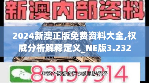 2024新澳正版免费资料大全,权威分析解释定义_NE版3.232