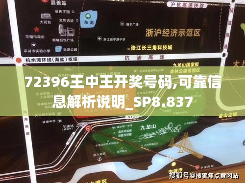 72396王中王开奖号码,可靠信息解析说明_SP8.837