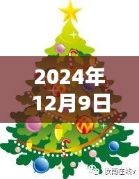 小城温馨日常，快乐时光之短篇纪实（2024年12月9日）