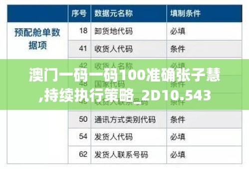 澳门一码一码100准确张子慧,持续执行策略_2D10.543