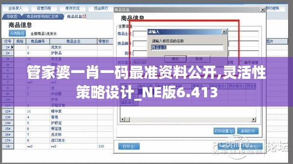 管家婆一肖一码最准资料公开,灵活性策略设计_NE版6.413