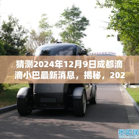 揭秘，2024年12月9日成都滴滴小巴最新动态与消息速递