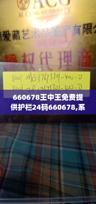 660678王中王免费提供护栏24码660678,系统评估说明_DP6.879