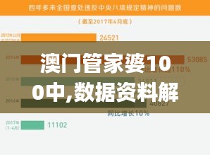 澳门管家婆100中,数据资料解释定义_领航款10.439