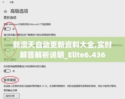 新澳天自动更新资料大全,实时解答解析说明_Elite6.436