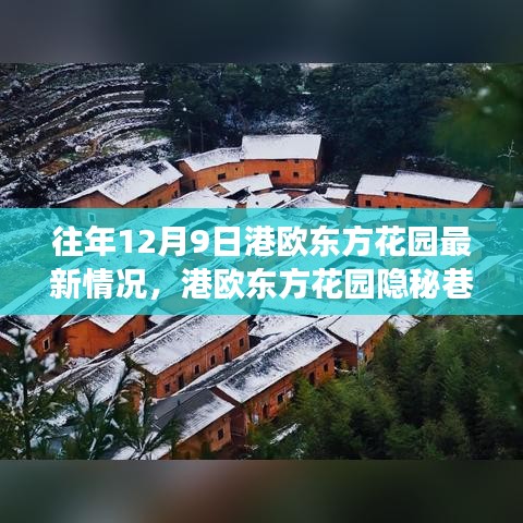 港欧东方花园隐秘美食秘境，最新探秘之旅（12月9日更新）