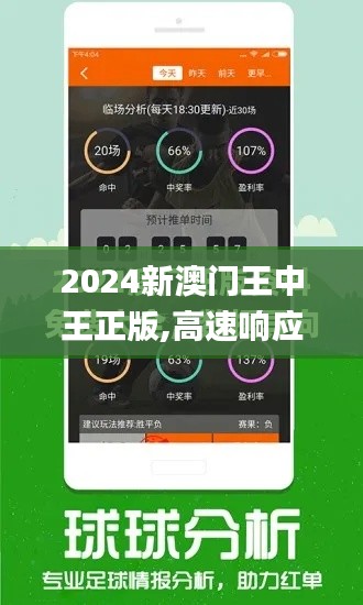 2024新澳门王中王正版,高速响应策略_Q9.780