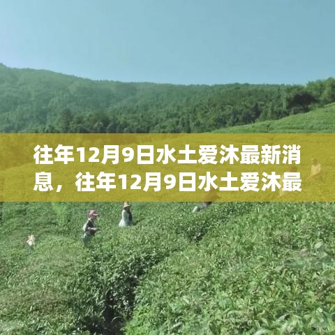 往年12月9日水土爱沐最新消息，深度解读与多方观点碰撞日谈