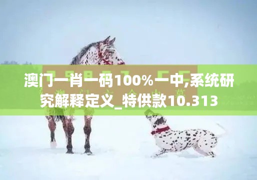 澳门一肖一码100%一中,系统研究解释定义_特供款10.313